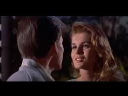 Bye Bye Birdie. 5 Best Classic Old Movie