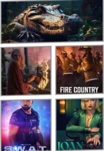 Top TV shows of 2024: Florida Man, Desclaimer, and Fire Country
